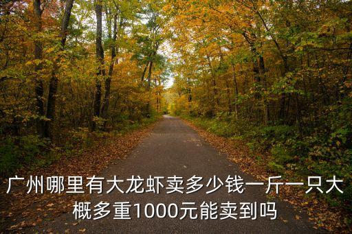廣州大龍蝦圖，廣州哪里有大龍蝦賣多少錢一斤一只大概多重1000元能賣到嗎