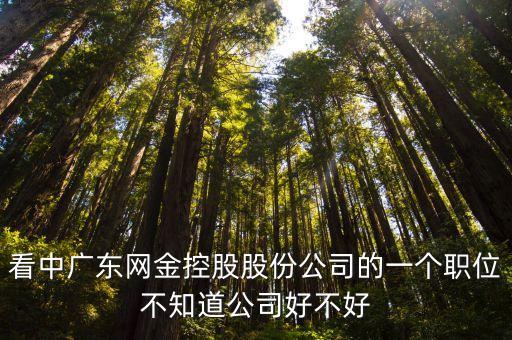 看中廣東網(wǎng)金控股股份公司的一個(gè)職位不知道公司好不好