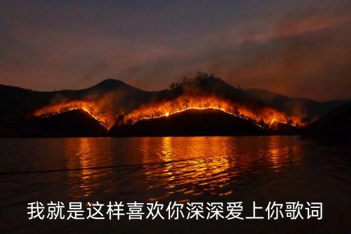 我就是這樣的,原諒我就是這樣的女生是什么歌?