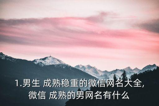 1.男生 成熟穩(wěn)重的微信網(wǎng)名大全,微信 成熟的男網(wǎng)名有什么