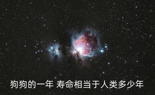 狗壽命,狗狗壽命多少?一般來說1014年最長壽