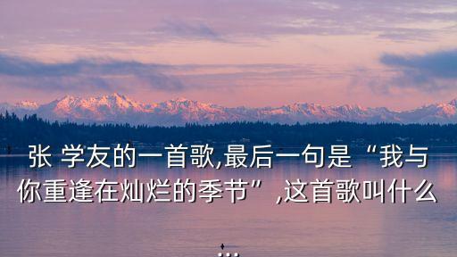 張學(xué)友金曲