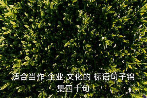 適合當(dāng)作 企業(yè) 文化的 標(biāo)語(yǔ)句子錦集四十句