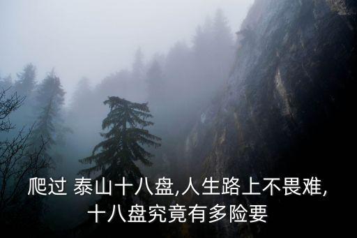 爬過 泰山十八盤,人生路上不畏難,十八盤究竟有多險要