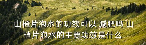  山楂片泡水的功效可以 減肥嗎 山楂片泡水的主要功效是什么