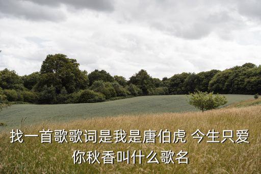 今生只愛你,今生只愛你一個(gè)歌曲:唐伯虎