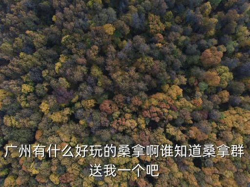 廣州有什么好玩的桑拿啊誰知道桑拿群送我一個(gè)吧