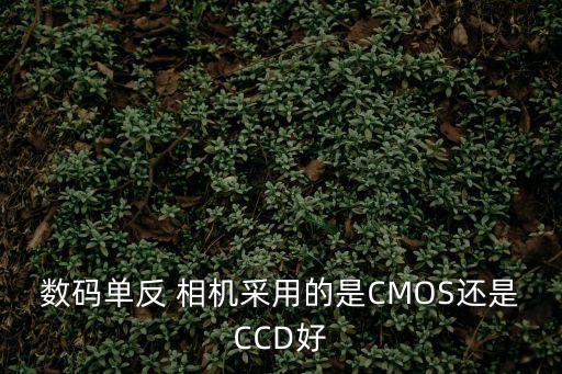 數碼單反 相機采用的是CMOS還是CCD好