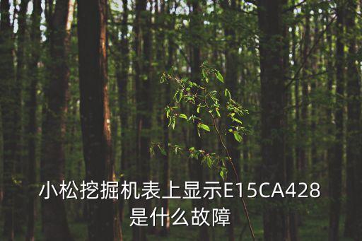 小松挖掘機表上顯示E15CA428是什么故障