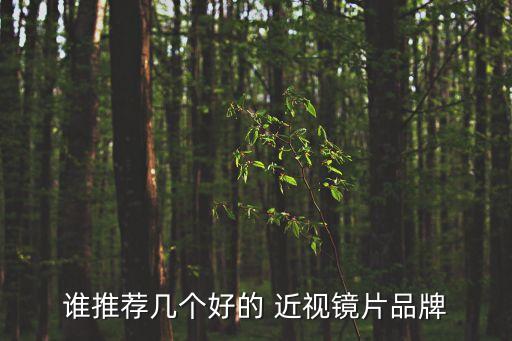 誰(shuí)推薦幾個(gè)好的 近視鏡片品牌