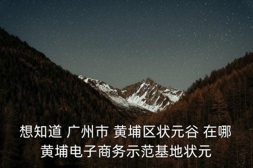廣州市黃埔區(qū)羅偉平，想知道 廣州市 黃埔區(qū)狀元谷 在哪黃埔電子商務(wù)示范基地狀元