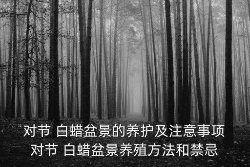  對節 白蠟盆景的養護及注意事項 對節 白蠟盆景養殖方法和禁忌