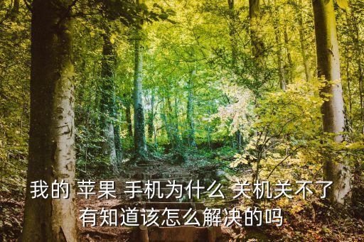蘋果手機無法關機怎么辦,蘋果無法關機怎么辦