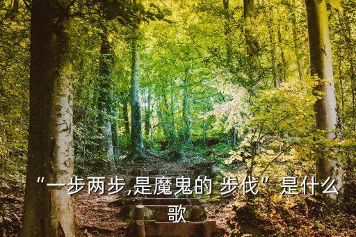 什么的步伐,各國加快了發展什么的步伐