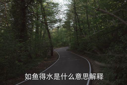 如魚得水意思