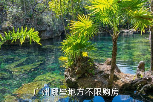 廣州哪里房子不限購嗎，廣州哪個區不限購