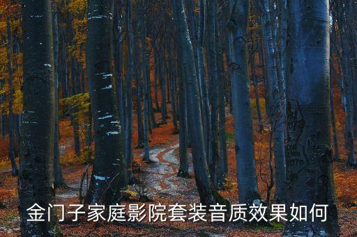金門子家庭影院套裝音質效果如何