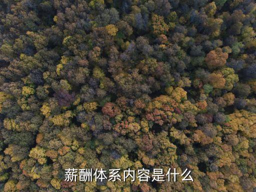 薪酬制度,薪酬制度是企業(yè)人力資源管理制度的重要組成部分