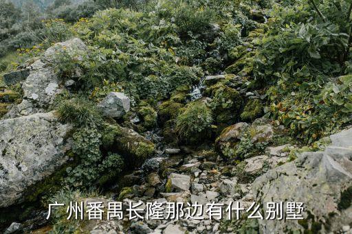廣州番禺長隆那邊有什么別墅
