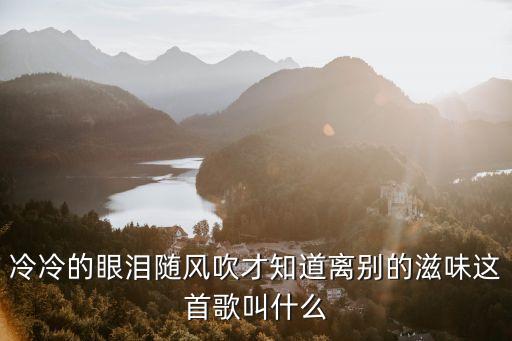 冷冷的眼淚隨風吹才知道離別的滋味這首歌叫什么