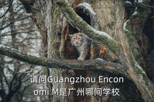 廣州實地常春藤建學校，請問這是廣州哪間學校