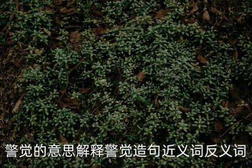 警覺(jué)的意思解釋警覺(jué)造句近義詞反義詞