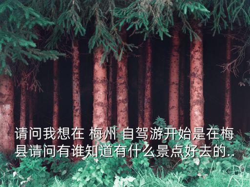 請問我想在 梅州 自駕游開始是在梅縣請問有誰知道有什么景點好去的...