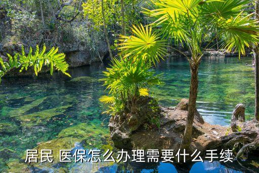 居民 醫保怎么辦理需要什么手續