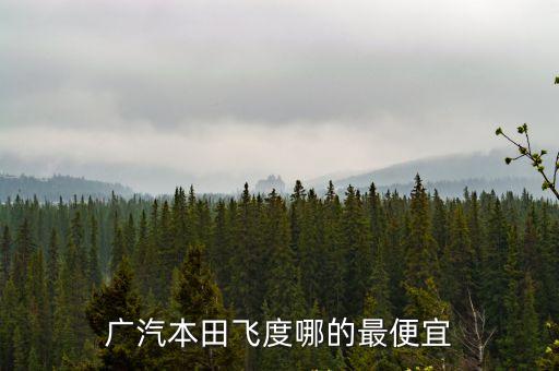 廣汽本田飛度哪的最便宜