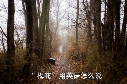 梅花英文,梅花的英文怎么說?