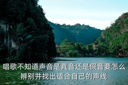 假聲和真聲的區別,唱歌假聲和真聲的區別