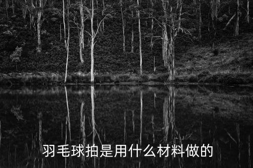  羽毛球拍是用什么材料做的