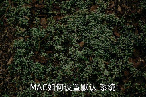 選擇系統(tǒng),win10怎么設(shè)置系統(tǒng)選擇默認(rèn)系統(tǒng)?