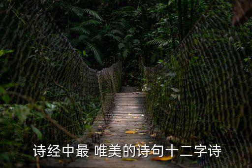  詩(shī)經(jīng)中最 唯美的詩(shī)句十二字詩(shī)