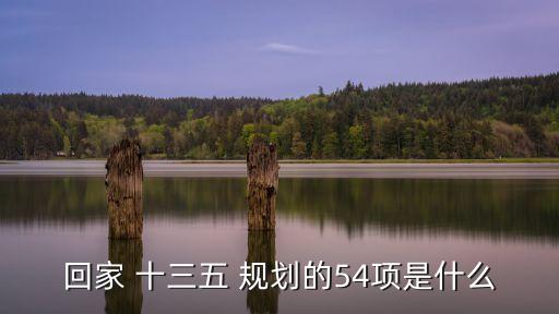 回家 十三五 規劃的54項是什么