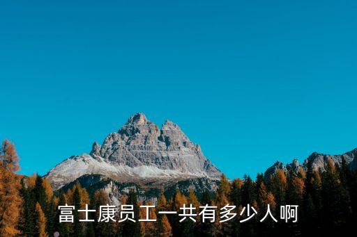 廣州富士康人力規模，富士康共有多少人