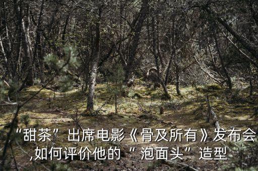 “甜茶”出席電影《骨及所有》發(fā)布會(huì),如何評(píng)價(jià)他的“ 泡面頭”造型