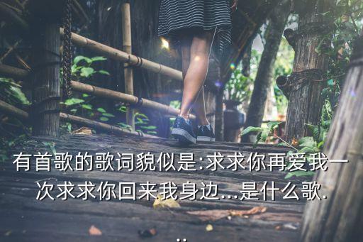 有首歌的歌詞貌似是:求求你再愛我一次求求你回來我身邊...是什么歌...