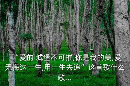“愛的 城堡不可摧,你是我的美,愛無悔這一生,用一生去追”這首歌什么歌...