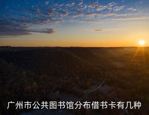 廣州市公共圖書館分布借書卡有幾種