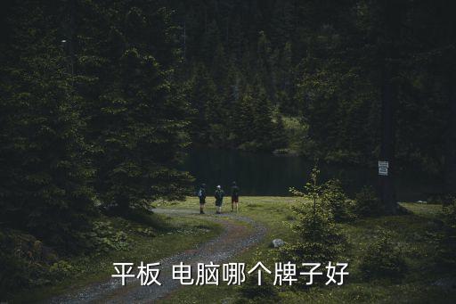 十大平板電腦,新加坡人買什么東西?