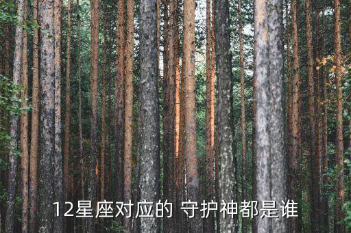 雙子座守護神,十二星座守護神分別守護獅子和巨蟹