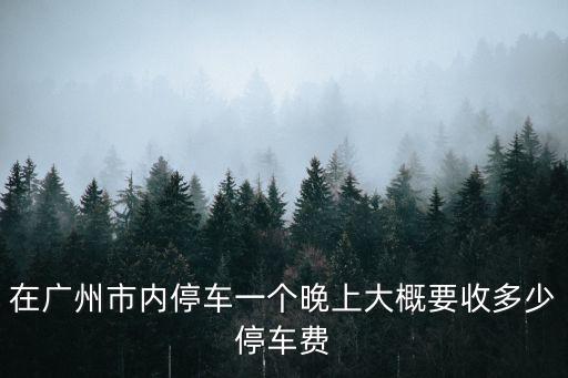 在廣州市內停車一個晚上大概要收多少停車費