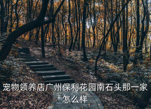 寵物領(lǐng)養(yǎng)店廣州保利花園南石頭那一家怎么樣