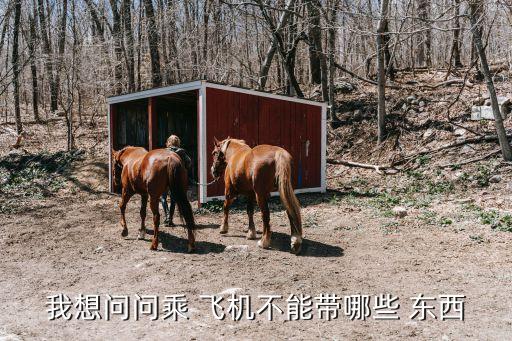 坐飛機(jī)不能帶哪些東西,水乳各100ml可以帶上飛機(jī)嗎