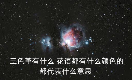 三色堇花語,三色堇花語是什么?