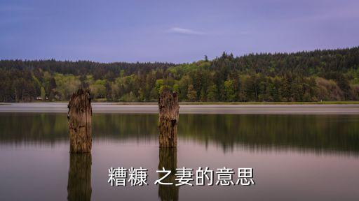 糟糠之妻什么意思,拋棄糟糠之妻什么意思