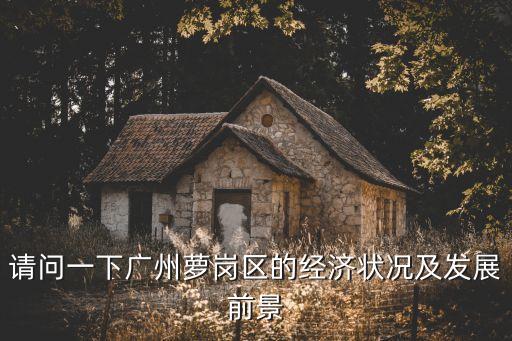 請問一下廣州蘿崗區(qū)的經(jīng)濟狀況及發(fā)展前景