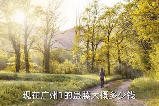 廣州實地常春藤價格，現(xiàn)在廣州1的蠱藤大概多少錢