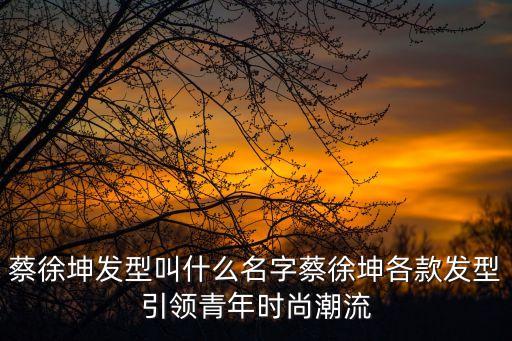 蔡徐坤發(fā)型叫什么名字蔡徐坤各款發(fā)型引領(lǐng)青年時(shí)尚潮流